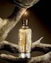 Imagem de Kit 1 perfume The Blend Cardamom + 1 Malbec Signature - Mais vendido - Clássico