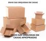 Imagem de Kit 10 Cattleya E Orquidea Variadas - Ofertas Especial - 01