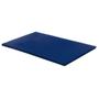 Imagem de Kit 10 Colchonetes Ginástica 100x60x3 D28 Azul RG Colchões