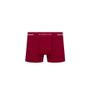 Imagem de Kit 10 cueca boxer box microfibra  selene masculina original