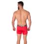 Imagem de Kit 10 Cuecas WLS Modas Masculina Boxer Lisa Microfibra Elástico