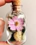 Imagem de Kit 10 Garrafinhas com flores secas para lembrancinha 30ml