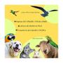 Imagem de Kit 10 Microchip 2,12/12Mm E Leitor De Microchip Animal