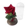 Imagem de Kit 10 Mini Rosas A Bela E A Fera - Decoração ou Lembrança