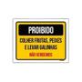 Imagem de Kit 10 Placa Proibido Colher Frutas Peixes Levar Galinhas