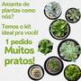 Imagem de Kit 10 Pratos Plástico Redondo para Vasos Plantas 11 cm - Preto