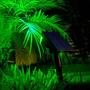 Imagem de Kit 10 Refletor Ecoforce Solar 6 Leds Verde 10x Mais Forte Spot Jardim 18751 Á Prova De Água Luminária Sem Fio Liga Automaticamente