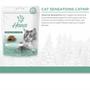 Imagem de Kit 10 Snacks Hana Healthy Life Cat Sensations P/ Gatos Adultos - 60g