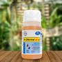 Imagem de Kit 10 Unidades K-othrine 250mL CE