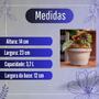 Imagem de Kit 10 vaso de planta para Jardim Flores Vaso de Planta Decorativo vasos redondo de Polietileno