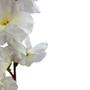 Imagem de Kit 10Galho de Flor de Cerejeira 6 hastes Flores Artificiais de Qualidade p/ paineis e arvores