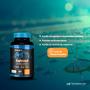 Imagem de Kit 10X Omega 3 Fish Oil Meg 3 60 Cps Hf Suplementos