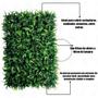 Imagem de Kit 11 Placa De Samambaia Cheia 40x60 Jardim Vertical Artificial Muro Verde