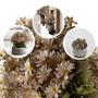 Imagem de Kit 12 Buquês Flor do Campo para Decoração de Flores Artificiais: Preço Atacado e  - DE4423