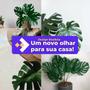 Imagem de Kit 12 Folhas Artificiais Decoração Costela De Adão Casa