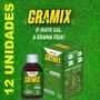 Imagem de Kit 12 Gramix 100 ml Elimina Ervas Daninhas A Grama Fica Com Nota Fiscal