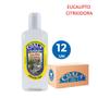 Imagem de Kit 12 Limpador Concentrado Perfumado de Ambientes Eucalipto Citriodora Coala 120ml