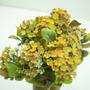 Imagem de Kit 12 Plantas Kalanchoe Artificial Amarelo Flor Jardim 30cm