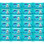 Imagem de Kit 1200 Lenços Umedecidos Toalhas Estrelinhas (24 X 50fls)
