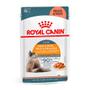 Imagem de Kit 12Un. Ração Úmida Royal Canin Hair Skin Pele E Pelagem