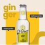 Imagem de Kit 12un Refrigerante de Gengibre ST PIERRE Ginger  LN 275ml