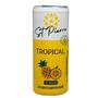 Imagem de Kit 12Und Suplemento Alimentar St Pierre Zero Tropical 310Ml