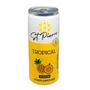 Imagem de Kit 12Und Suplemento Alimentar St Pierre Zero Tropical 310Ml