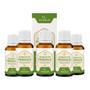 Imagem de Kit 12x Atacado EXTRATO DE PROPOLIS VERDE 30ML - HERBOLAB A