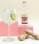 Imagem de Kit 12X Drink Pronto Easy Booze Gin+Ginger 200Ml