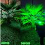 Imagem de Kit 2/3/4/6/8 Refletores Ecoforce Solar Super Leds Smd Verde 20x Mais Forte Spot Jardim Prova D'água Luminária