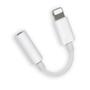Imagem de Kit 2 Adaptadores de Fone de Ouvido P2 para iOS iPhone It Blue Max