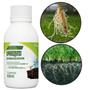 Imagem de Kit 2 Adubo Fertilizante Enraizador Concentrado Forth 60ml