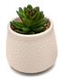 Imagem de Kit 2 Arranjos Artificial Planta Suculenta Verde Vasos Vasinhos Cerâmica Escritório