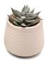 Imagem de Kit 2 Arranjos Artificial Planta Suculenta Verde Vasos Vasinhos Cerâmica Escritório