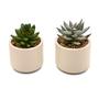 Imagem de Kit 2 Arranjos Artificial Planta Suculenta Verde Vasos Vasinhos Cerâmica Para Nicho