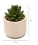 Imagem de Kit 2 Arranjos Artificial Planta Suculenta Verde Vasos Vasinhos Cerâmica Para Nicho