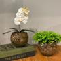 Imagem de Kit 2 Arranjos Orquídea Branca e Verdinho Vaso de Vidro