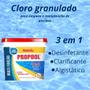 Imagem de Kit 2 Baldes de Cloro Granulado para Piscina 3 em 1 Propool 3kg Cada  Hidroall 