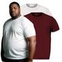 Imagem de Kit 2 Camisa Camiseta Masculina Plus Size Lisa 100% Algodão Gola Redonda G1 G2 G3 G4