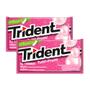 Imagem de Kit 2 Chiclete Trident Tutti Frutti 8g com 5 Unidades