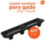 Imagem de Kit 2 Cochos Canaleta para Gado 230L Preto Gplas