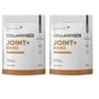 Imagem de Kit 2 Collagen Pro Joint Bones 450g Colágeno 2 Proteína PuraVida