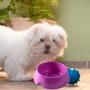 Imagem de Kit 2 Comedouro Vasilha Para Ração e Agua Potinho de Pet Tigela Cachorro e Gato