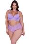 Imagem de Kit 2 Conjunto de Lingerie Plus Size Sutiã Reforçado e Calcinha Renda- KIT 2 CONJUNTO PAULA