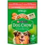 Imagem de Kit 2 Dog Chow Sachê Para Cães Adultos Sabor Frango 100 g