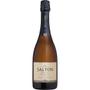 Imagem de Kit 2 Espumantes Salton Brut Prosseco 750ml 