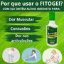 Imagem de Kit 2 Fitogel Gel de Arnica Alívio das Dores Musculares + 2 Loção para Tratar Pés Rachados  Milagroso Delima