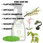 Imagem de Kit 2 Forth Anti Fungos 500ml Manchas Ferrugens Oídios Jardim