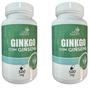 Imagem de Kit 2 Ginkgo Biloba com Ginseng - Life Natural - 60 Cápsulas