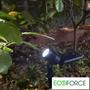 Imagem de Kit 2 Luminarias Espeto Spot Solar Branco Frio Ecoforce